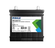 Mahle