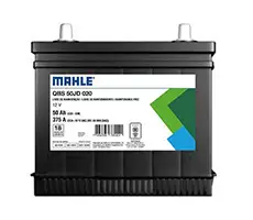 mahle