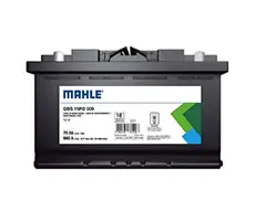 mahle